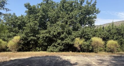 Saint-Vallier-de-Thiey Terrain à bâtir - 2257481-5826annonce220250902pS7b6.jpeg Maisons Open