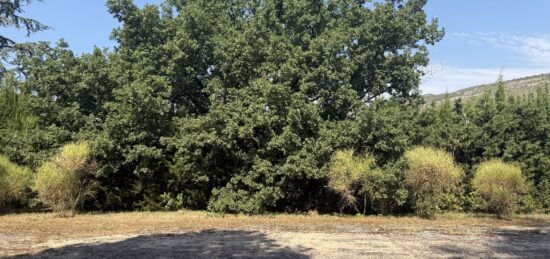 Terrain à bâtir à , Alpes-Maritimes