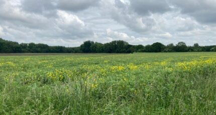 Carvin Terrain à bâtir - 2257871-1807annonce320250902QNb0e.jpeg Maisons Open