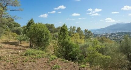 Mouans-Sartoux Terrain à bâtir - 2258510-6013annonce220250902duaAz.jpeg Maisons Open