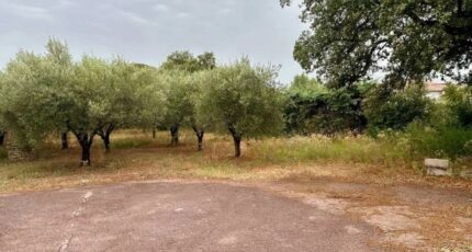 Puget-sur-Argens Terrain à bâtir - 2266154-10295annonce120250910kRIue.jpeg Maisons Open