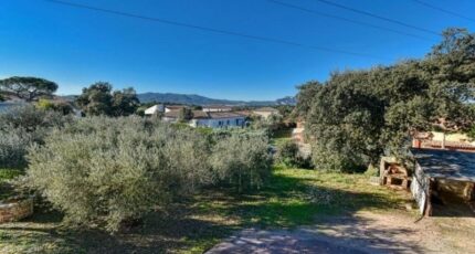 Puget-sur-Argens Terrain à bâtir - 2266154-10295annonce220250910FO8co.jpeg Maisons Open