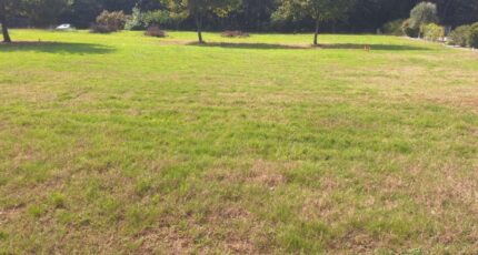 Toulouse Terrain à bâtir - 2266650-3575annonce220250910iytNa.jpeg Maisons Open