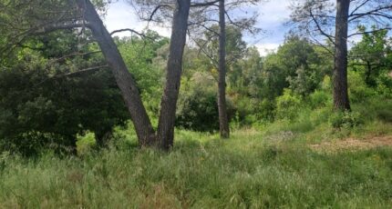 Plan-d'Aups-Sainte-Baume Terrain à bâtir - 2268880-11238annonce1202509129kDc3.jpeg Maisons Open