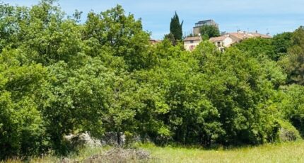 Montmeyan Terrain à bâtir - 2269802-9707annonce1202509125mGXp.jpeg Maisons Open