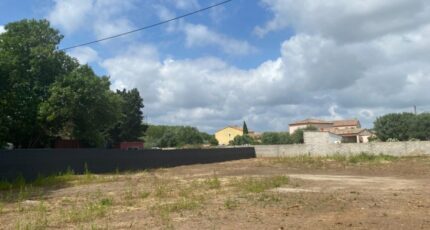 Paulhan Terrain à bâtir - 2271340-3243annonce120250915lszTr.jpeg Maisons Open