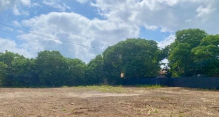 Paulhan Terrain à bâtir - 2271340-3243annonce220250915GgoGr.jpeg Maisons Open