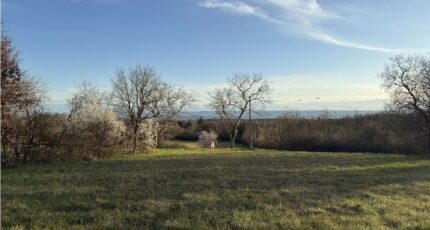 Labécède-Lauragais Terrain à bâtir - 2271651-10986annonce120250915JJkz0.jpeg Maisons Open