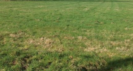 Sarceaux Terrain à bâtir - 2271847-1153annonce120240527FB5LD.jpeg Maisons Open