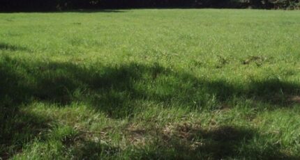 Occagnes Terrain à bâtir - 2271860-1153annonce120240527HT9uD.jpeg Maisons Open