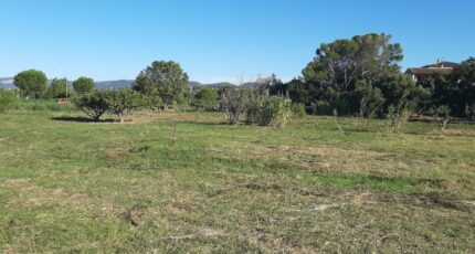 Bagnols-en-Forêt Terrain à bâtir - 2272359-10295annonce220250916qrl3O.jpeg Maisons Open