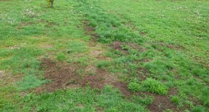 Saint-Priest-Taurion Terrain à bâtir - 2273291-3291annonce120250916c08ht.jpeg Maisons Open