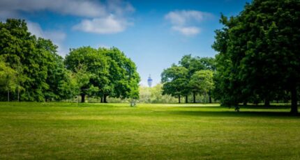 La Destrousse Terrain à bâtir - 2273727-7054annonce320250917LTFwa.jpeg Maisons Open