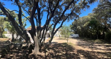 Castries Terrain à bâtir - 2273805-3243annonce220250917Tsn5S.jpeg Maisons Open