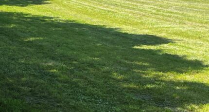 Champagnolles Terrain à bâtir - 2274520-10974annonce120250917tCXeh.jpeg Maisons Open