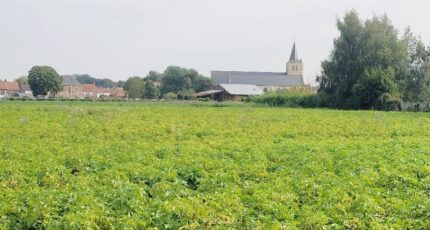 Audruicq Terrain à bâtir - 2276065-1587annonce120250919pM2RT.jpeg Maisons Open