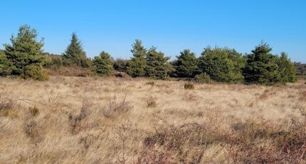 Marquixanes Terrain à bâtir - 2277077-4671annonce120250919zvvTz.jpeg Maisons Open