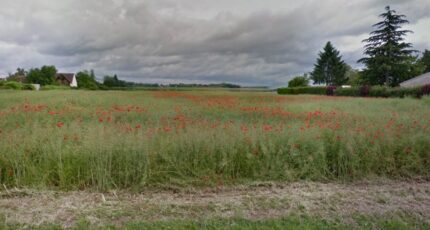 Armentières-en-Brie Terrain à bâtir - 2278115-5508annonce120250920rgLeF.jpeg Maisons Open