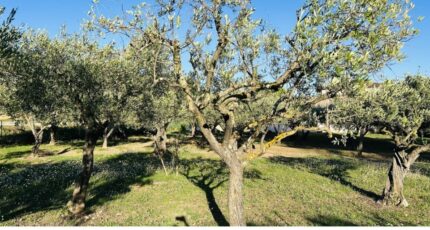 Lorgues Terrain à bâtir - 2248207-4529annonce120250821gVuTv.jpeg Maisons Open