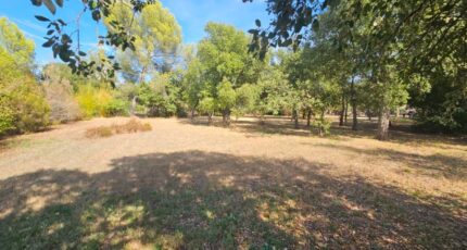 Le Cannet-des-Maures Terrain à bâtir - 2279154-10295annonce220250922O4Bh4.jpeg Maisons Open