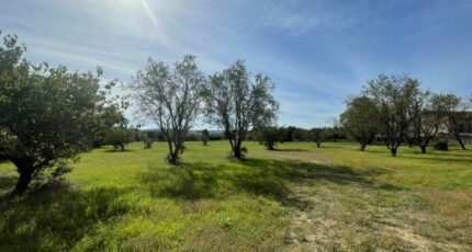 Saint-Quentin-la-Poterie Terrain à bâtir - 2279802-3243annonce220250922K4LJN.jpeg Maisons Open