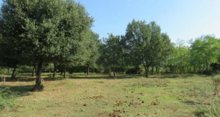 Montignargues Terrain à bâtir - 2279944-3243annonce220250922ew9Jp.jpeg Maisons Open