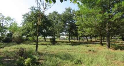 Montignargues Terrain à bâtir - 2279944-3243annonce320250922EbJWP.jpeg Maisons Open