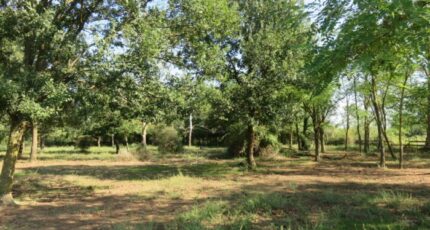 Montignargues Terrain à bâtir - 2280038-3243annonce120250922pPbsT.jpeg Maisons Open