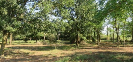Terrain à bâtir à Montignargues, Occitanie