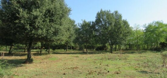 Terrain à bâtir à Montignargues, Occitanie