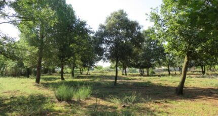 Montignargues Terrain à bâtir - 2280003-3243annonce220250922O4n4a.jpeg Maisons Open