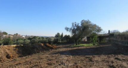 Mus Terrain à bâtir - 2280103-3243annonce22025092219bs5.jpeg Maisons Open