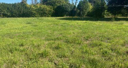 Montélimar Terrain à bâtir - 2280169-6150annonce220250923E7H2Q.jpeg Maisons Open