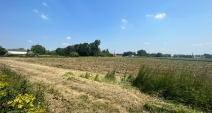 Thélus Terrain à bâtir - 2276277-10222annonce120250919TybHm.jpeg Maisons Open