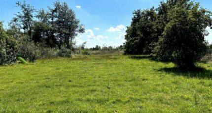 Leval Terrain à bâtir - 2279974-11021annonce120250922Ml2XF.jpeg Maisons Open