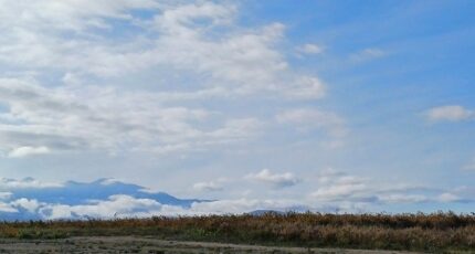 Pollestres Terrain à bâtir - 2281043-4671annonce1202509239H46J.jpeg Maisons Open