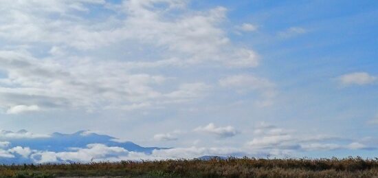 Terrain à bâtir à Pollestres, Occitanie