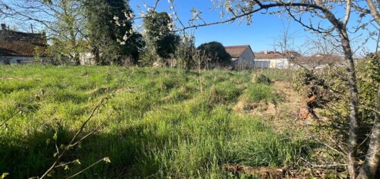 Terrain à bâtir à Noisy-le-Grand, Île-de-France