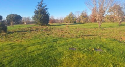 Cologne Terrain à bâtir - 2278889-3575annonce220250922L0XJl.jpeg Maisons Open