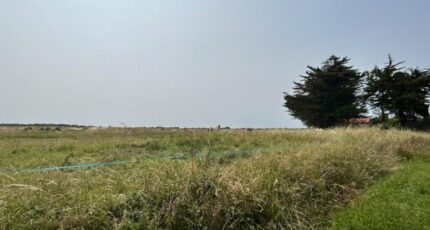 Villeneuve-en-Retz Terrain à bâtir - 2281126-11110annonce2202509233EPx1.jpeg Maisons Open