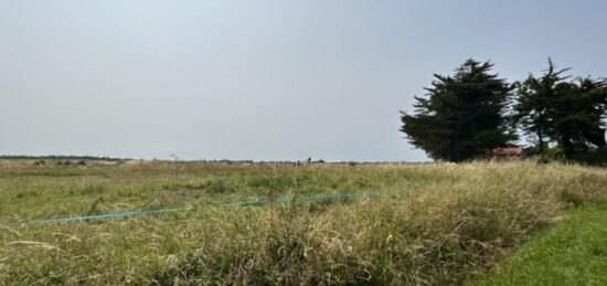Terrain à bâtir à , Loire-Atlantique