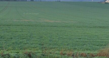 Les Petites-Loges Terrain à bâtir - 2252973-10076annonce120250327VvzUU.jpeg Maisons Open