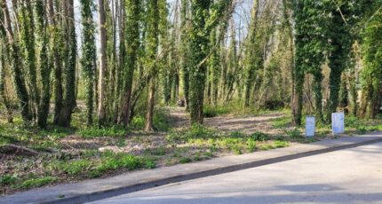 Bazancourt Terrain à bâtir - 2282909-10076annonce120250404HTXqc.jpeg Maisons Open