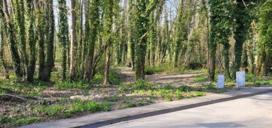 Terrain à bâtir à Bazancourt, Grand Est