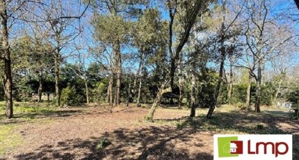 Bretignolles-sur-Mer Terrain à bâtir - 2251645-11004annonce120250826W9uHg.jpeg Maisons Open