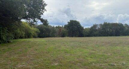 Montastruc-la-Conseillère Terrain à bâtir - 2281818-11356annonce120250924VNDB9.jpeg Maisons Open