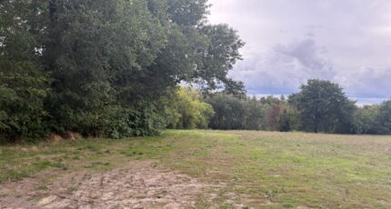 Montastruc-la-Conseillère Terrain à bâtir - 2281818-11356annonce320250924O91He.jpeg Maisons Open