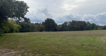 Montastruc-la-Conseillère Terrain à bâtir - 2281818-11356annonce4202509247ThEK.jpeg Maisons Open