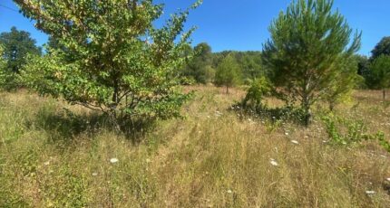 Lorgues Terrain à bâtir - 2250813-10122annonce220250826iHRT9.jpeg Maisons Open