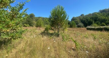 Lorgues Terrain à bâtir - 2250813-10122annonce320250826kqtBf.jpeg Maisons Open
